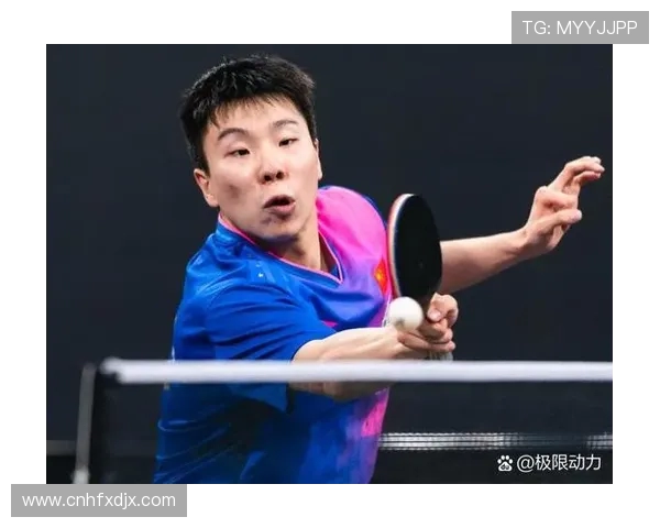 杭州乒乓球队荣登全国速度排行榜第三名展现强劲实力与潜力