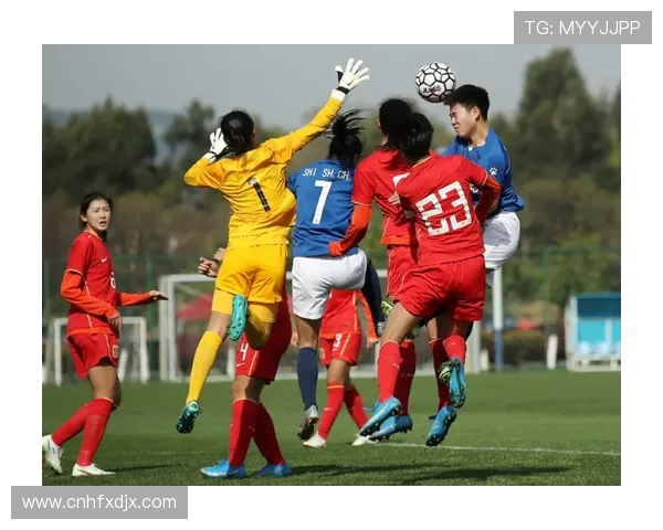 武汉排球队的蜕变之路：从传统强队到现代化新生力量的探索与实践