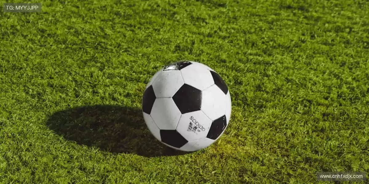 📱弹幕狂欢，实时互动！⚡️